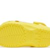 Ron English x Classic Clog Kids «Animales de fiesta – Limón cebra»